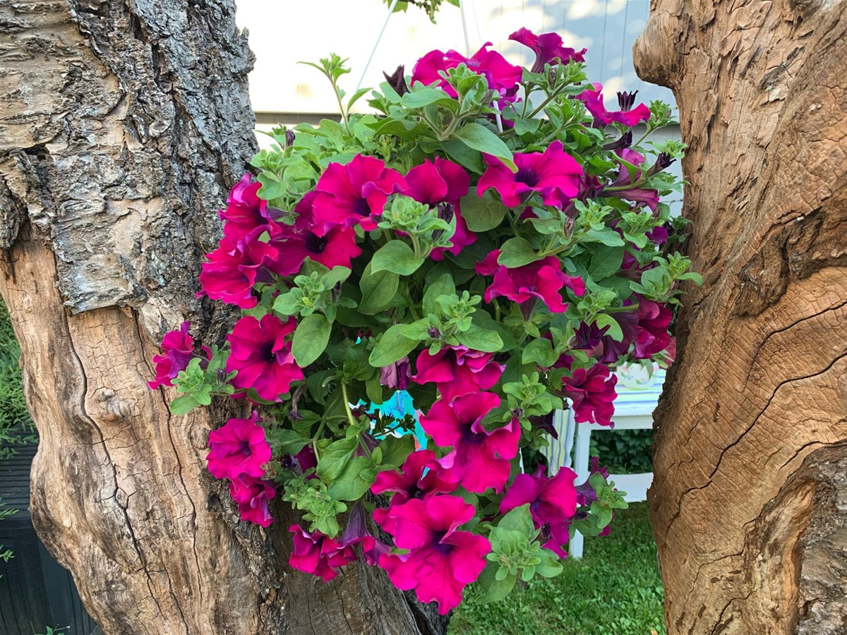 thumbnail_82cfff7e-d685-4ca8-9135-c5c294b37ebc